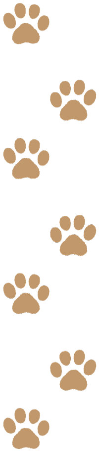 猫の足跡
