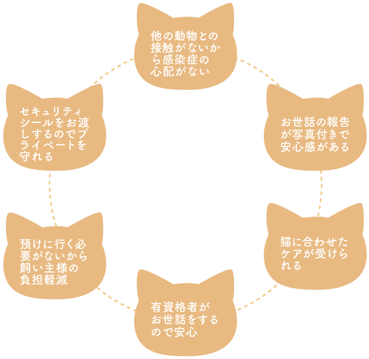 6つのポイント