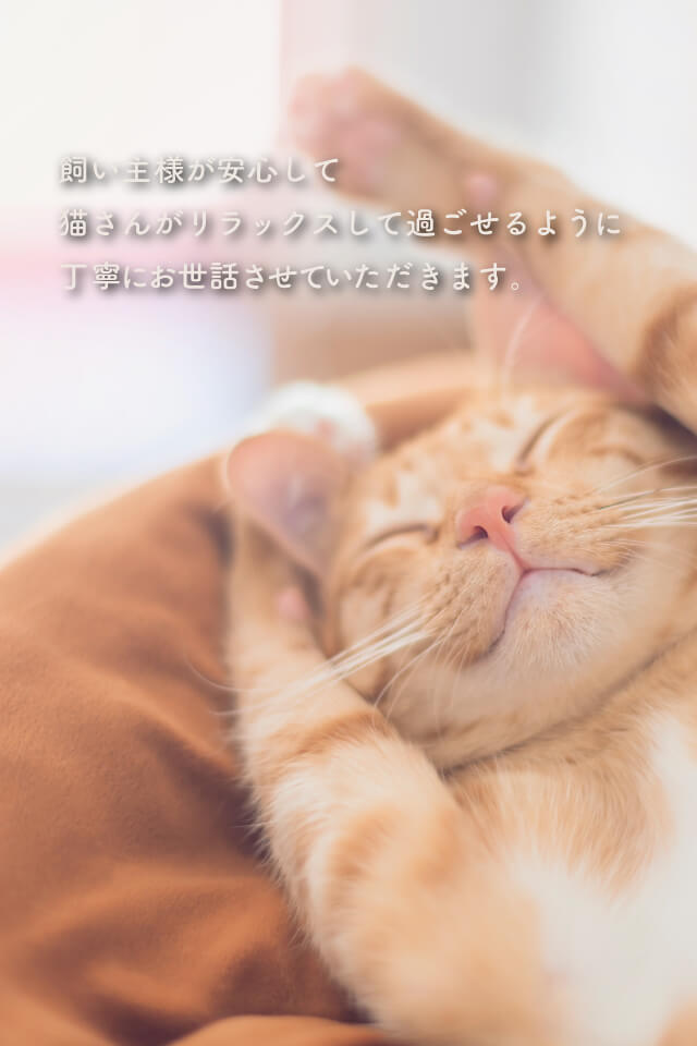 ”ファーストビュー”