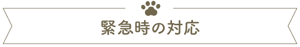 緊急時の対応