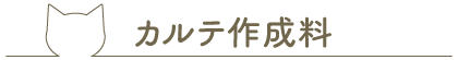 カルテ作成料