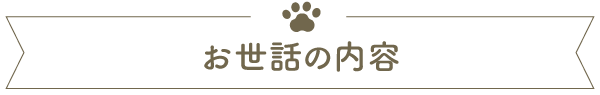 お世話の内容
