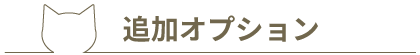 追加オプション